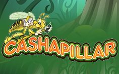 Online Casino Cashapillar