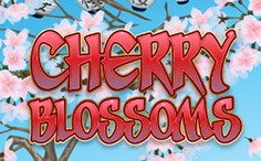 SMS Casino Cherry Blossoms