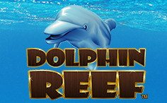 Play Dolphin Reef Dolphin Reef
