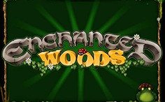 Woods Enchanted