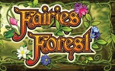 Fairies Forest