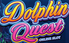 dolphin-quest