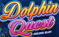 dolphin-quest