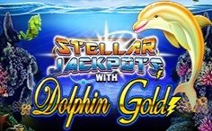 Dolphin Gold Stellar Jackpots