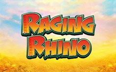 Rhino enragé