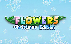 Flowers (Christmas Edition)